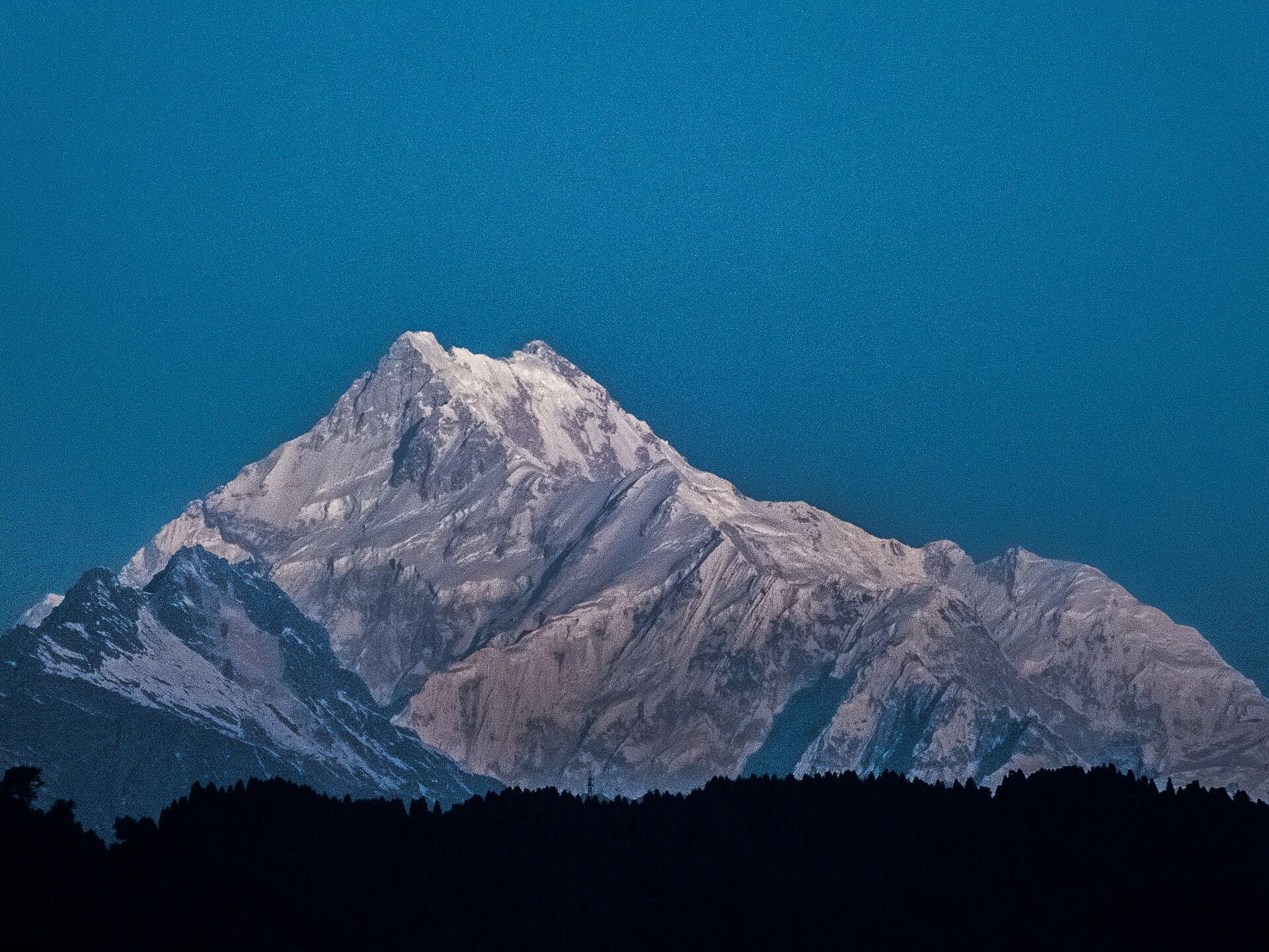 The snow faces of the Kanchenjunga massif catching first light above a dark silhouetted treeline, seen from Gangtok