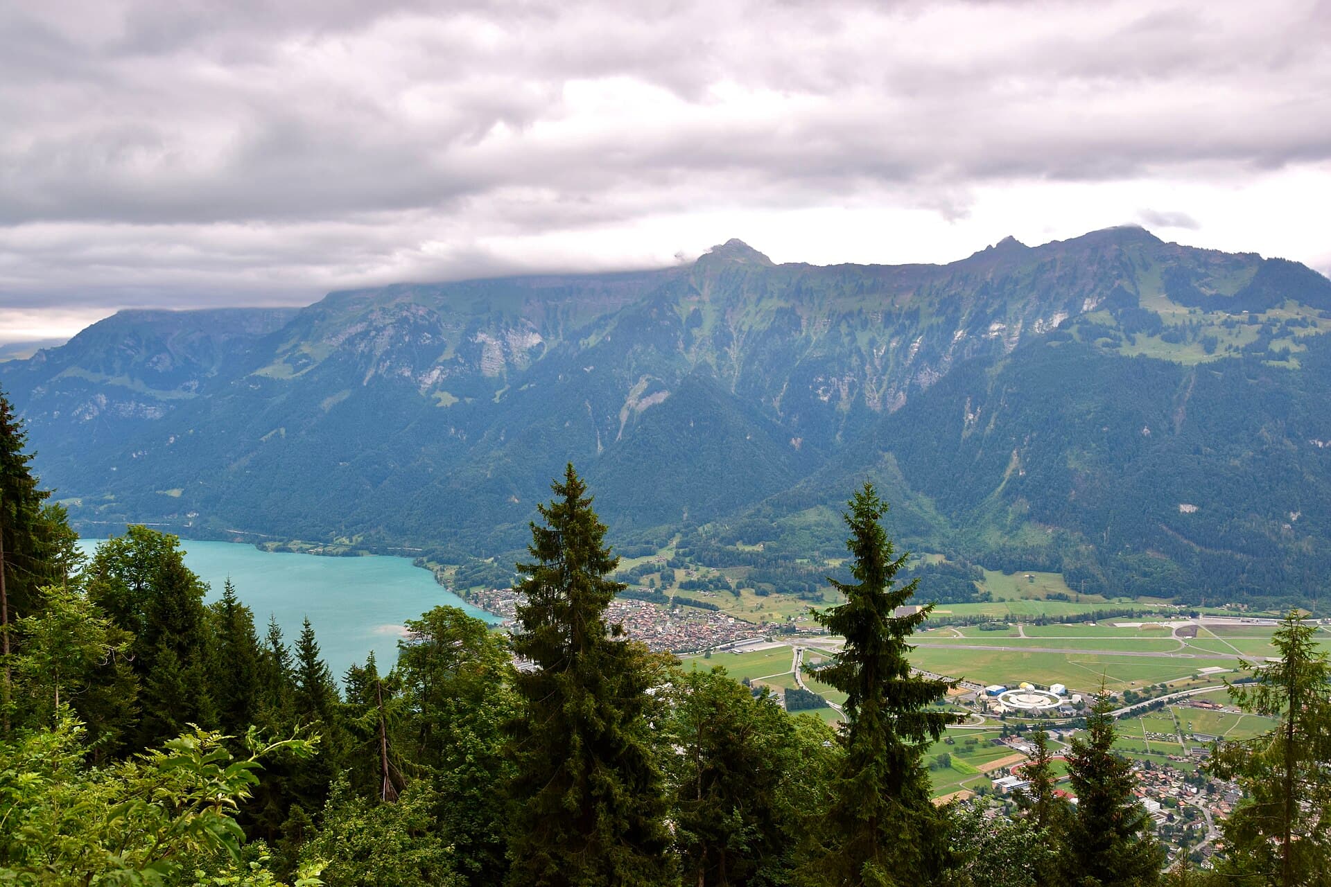 Turquoise Lake Brienz and the town of Interlaken seen through pine trees from the Harder Kulm viewpoint